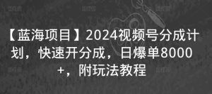 【蓝海项目】2024视频号分成计划，快速开分成，日爆单8000+，附玩法教程-乌龙学社
