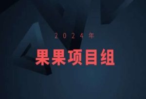 2024年果果项目组项目合集-果果最新项目-乌龙学社