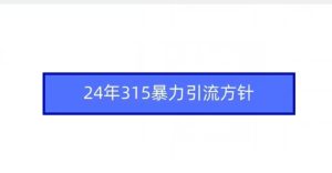 24年315暴力引流方针-乌龙学社