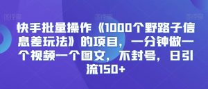 快手批量操作《1000个野路子信息差玩法》的项目，一分钟做一个视频一个图文，不封号，日引流150+【揭秘】-乌龙学社