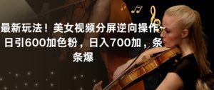 最新玩法！美女视频分屏逆向操作~日引600加色粉，日入700加，条条爆【揭秘】-乌龙学社