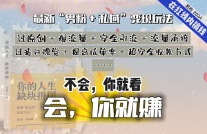 2024，“男粉+私域”还是最耐造、最赚、最轻松、最愉快的变现方式【揭秘】-乌龙学社