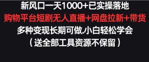 新风口一天1000+已实操落地购物平台短剧无人直播+网盘拉新+带货多种变现长期可做【揭秘】-乌龙学社