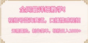 全网最详细教学，视频号蓝海赛道，口播情感视频，无需露脸，制作简单，轻松实现日入1000+【揭秘】-乌龙学社