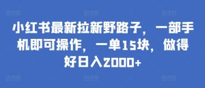 小红书最新拉新野路子，一部手机即可操作，一单15块，做得好日入2000+【揭秘】-乌龙学社