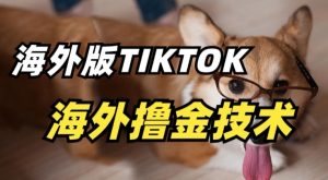 抖音海外版tiktok撸金技术，这个风口行业，赚钱真的不难【揭秘】-乌龙学社