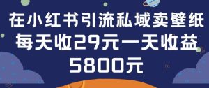 在小红书引流私域卖壁纸每张29元单日最高卖出200张(0-1搭建教程)【揭秘】-乌龙学社