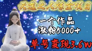 天选之人炼金项目，一个作品涨粉5000+，单号变现3.6w【揭秘】-乌龙学社