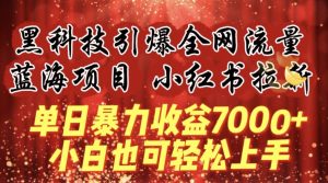 蓝海项目!黑科技引爆全网流量小红书拉新，单日暴力收益7000+，小白也能轻松上手【揭秘】-乌龙学社