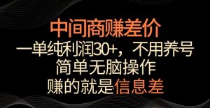 中间商赚差价，一单纯利润30+，简单无脑操作，赚的就是信息差，轻轻松松日入1000+【揭秘】-乌龙学社