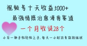十天收益5000+，多平台捞金，视频号情感治愈漫剪，一个月收徒28个，小白一部手机轻松上手【揭秘】-乌龙学社