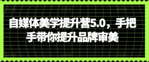 自媒体美学提升营5.0，手把手带你提升品牌审美-乌龙学社