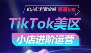 TikTok Shop美区小店进阶运营，抢占红利黄金期 嘎嘎出单-乌龙学社