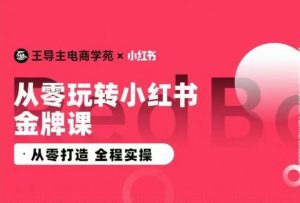 王导主·小红书电商运营实操课，​从零打造  全程实操-乌龙学社