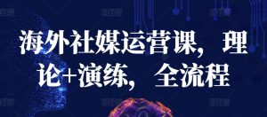 海外社媒运营课，理论+演练，全流程-乌龙学社