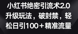小红书绝密引流术2.0升级玩法，破封禁，轻松日引100+精准流量【揭秘】-乌龙学社