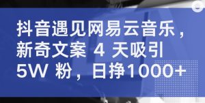 抖音遇见网易云音乐，新奇文案 4 天吸引 5W 粉，日挣1000+【揭秘】-乌龙学社