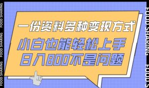 一份资料多种变现方式，小白也能轻松上手，日入800不是问题【揭秘】-乌龙学社
