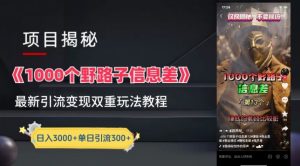 一千个野路子信息差最新玩法教程-变现+引流的玩法具体拆解【揭秘】-乌龙学社