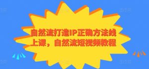 自然流打造IP正确方法线上课，自然流短视频教程-乌龙学社
