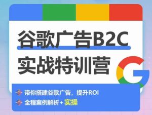 谷歌广告B2C实战特训营，500+谷歌账户总结经验，实战演示如何从0-1搭建广告账户-乌龙学社