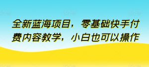 全新蓝海项目，零基础快手付费内容教学，小白也可以操作【揭秘】-乌龙学社
