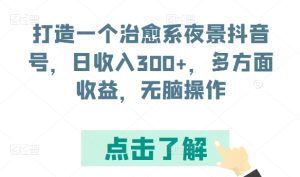 打造一个治愈系夜景抖音号，日收入300+，多方面收益，无脑操作【揭秘】-乌龙学社