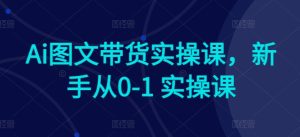 Ai图文带货实操课，新手从0-1 实操课-乌龙学社