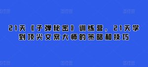 21天《子弹秘密》训练营，21天学到顶尖文案大师的策略和技巧-乌龙学社