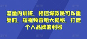 流量内训班，相信爆款是可以重复的，短视频营销大揭秘，打造个人品牌的利器-乌龙学社