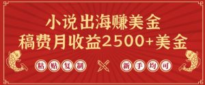 小说出海赚美金，稿费月收益2500+美金，仅需chatgpt粘贴复制，新手也能玩转【揭秘】-乌龙学社
