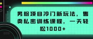 男粉项目冷门新玩法，售卖私密训练课程，一天轻松1000+【揭秘】-乌龙学社