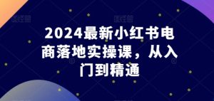 2024最新小红书电商落地实操课,从入门到精通-乌龙学社