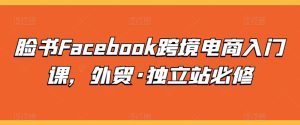 脸书Facebook跨境电商入门课，外贸·独立站必修-乌龙学社