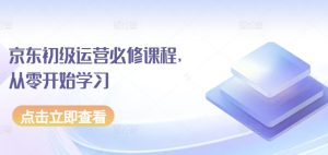 京东初级运营必修课程，从零开始学习-乌龙学社