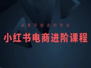 从零开始走向专业，小红书电商进阶课程-乌龙学社