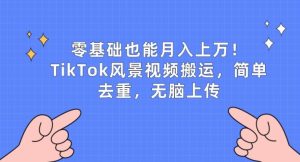 零基础也能月入上w,TikTok风景视频搬运,简单去重,无脑上传【揭秘】-乌龙学社