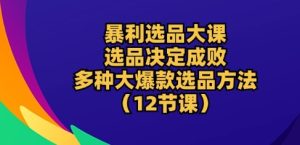 暴利选品大课：选品决定成败，教你多种大爆款选品方法(12节课)-乌龙学社