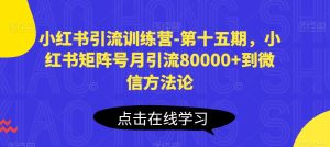 小红书引流训练营-第十五期，小红书矩阵号月引流80000+到微信方法论-乌龙学社