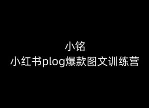 小铭-小红书plog爆款图文训练营,教你从0-1做小红书-乌龙学社