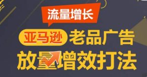 亚马逊流量增长-老品广告放量增效打法,循序渐进,打造更多TOP listing-乌龙学社