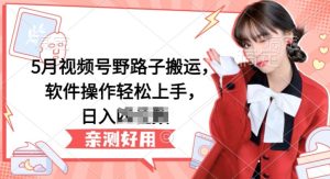 5月视频号野路子搬运，软件操作轻松上手，日入三位数【揭秘】-乌龙学社