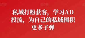 私域打粉获客，学习AD投流，为自己的私域囤积更多子弹-乌龙学社