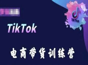 TikTok电商带货训练营，跟随时代潮流，跨境掘金-乌龙学社