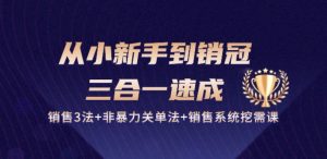 从小新手到销冠 三合一速成：销售3法+非暴力关单法+销售系统挖需课 (27节)-乌龙学社