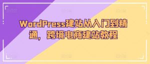 WordPress建站从入门到精通,跨境电商建站教程-乌龙学社