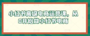 小红书高级电商运营课，从0开始做小红书电商-乌龙学社