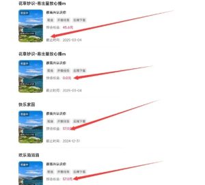 磁力聚星游戏副业陪跑训练营1.0，长期稳定项目，有人一周干了1K+-乌龙学社