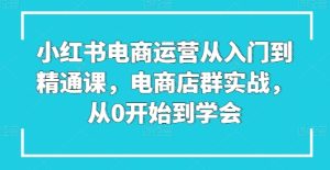 小红书电商运营从入门到精通课，电商店群实战，从0开始到学会-乌龙学社