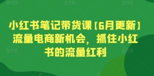 小红书笔记带货课【6月更新】流量电商新机会，抓住小红书的流量红利-乌龙学社